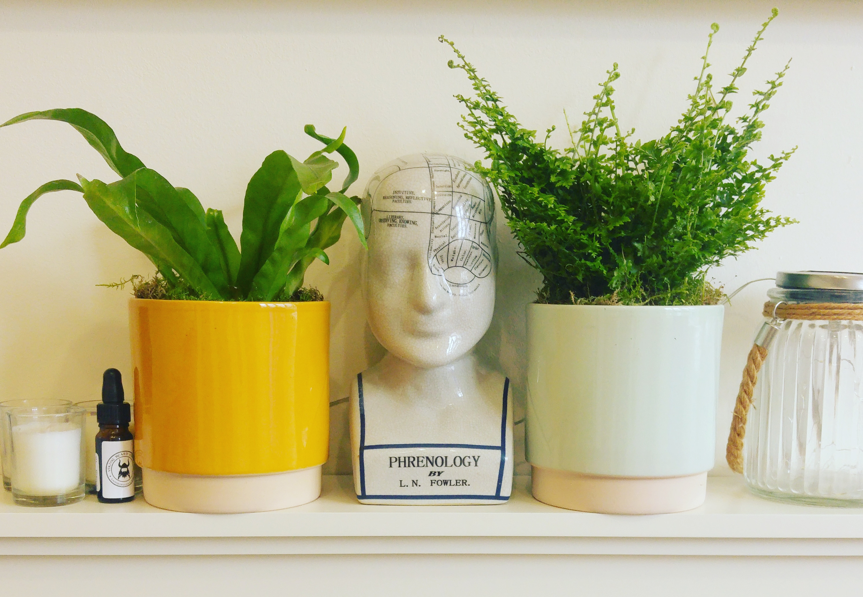 Plants on the mantelpiece