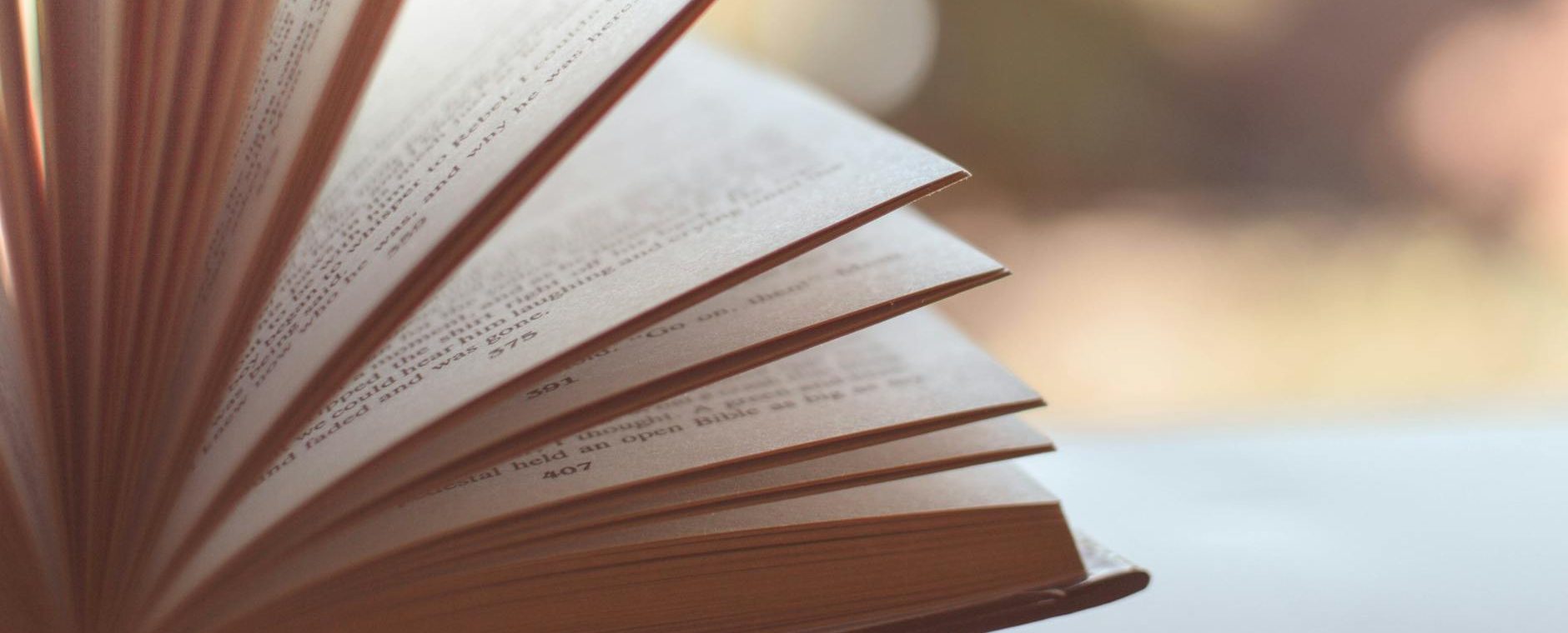 Something Olde, Something New: Favourite reads of 2024 via an old English rhyme